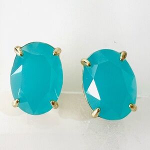 Heidi Daus CLIP 🆕Opaque Azure Blue crystal button earring in original Heidi box